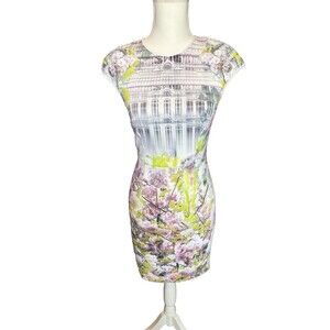 Ted Baker Pancha Window Blossom Dress Size 1 (US 2-4) Fitted Pencil BodyCon